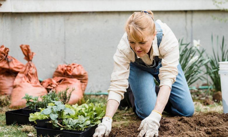 Home Gardening