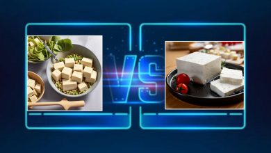 Tofu vs Paneer Who Will Be a Winner of the Battle Between Taste and Nutrition